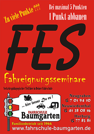 FES